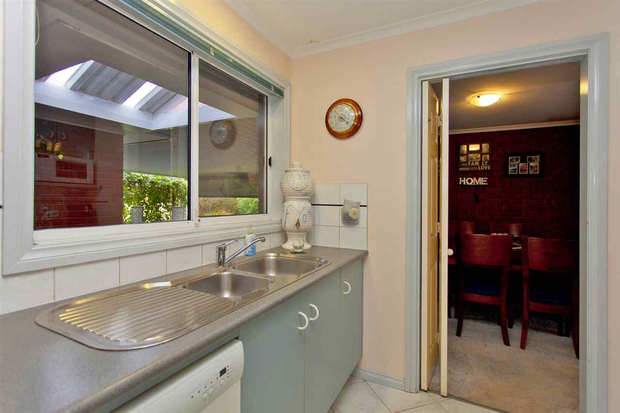 resized-2349823-edit11 kingfisher 37.JPG